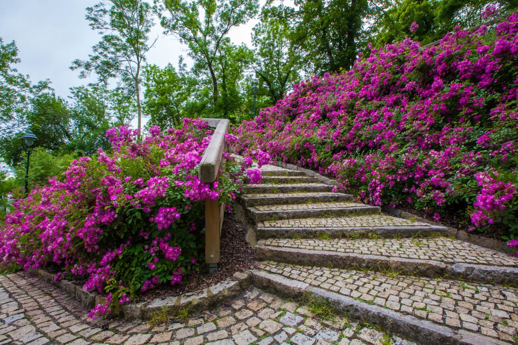 Cuenca en primavera: eventos, rutas y paisajes